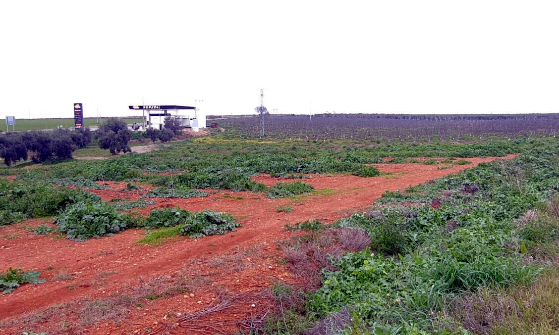 Vista parcial de los terrenos donde se ubicará el nuevo polígono