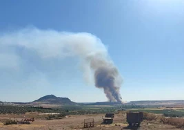 Columnas de humo vistas desde La Zarza