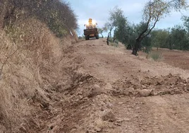 Actuación de maquinaria en uno de los caminos