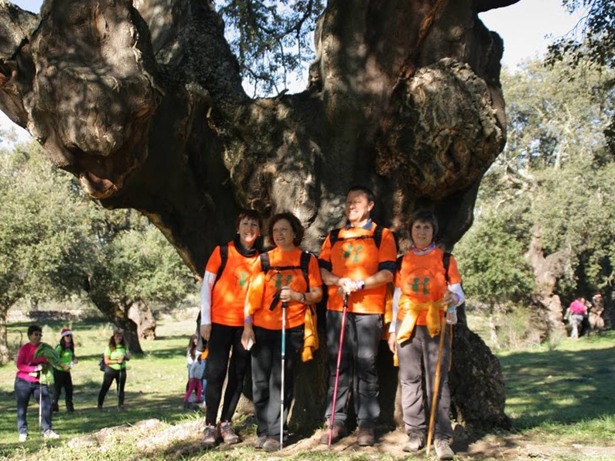 Algunos miembros del club junto a uno de los alcornoques