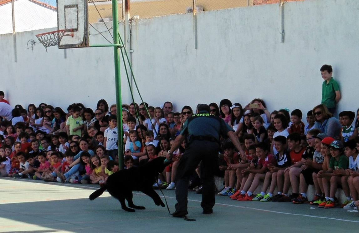 La actuación de los perros anti-droga despertó gran expectación