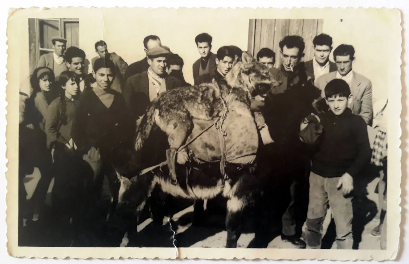 Paseo del lobo por La Zarza el día de Reyes de 1965