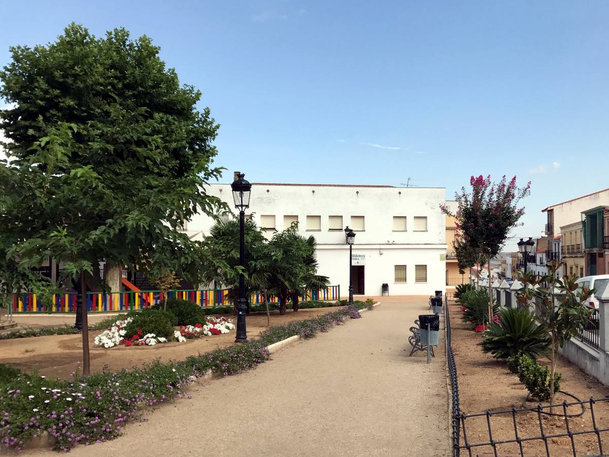 Vista parcial de una de las calles del parque
