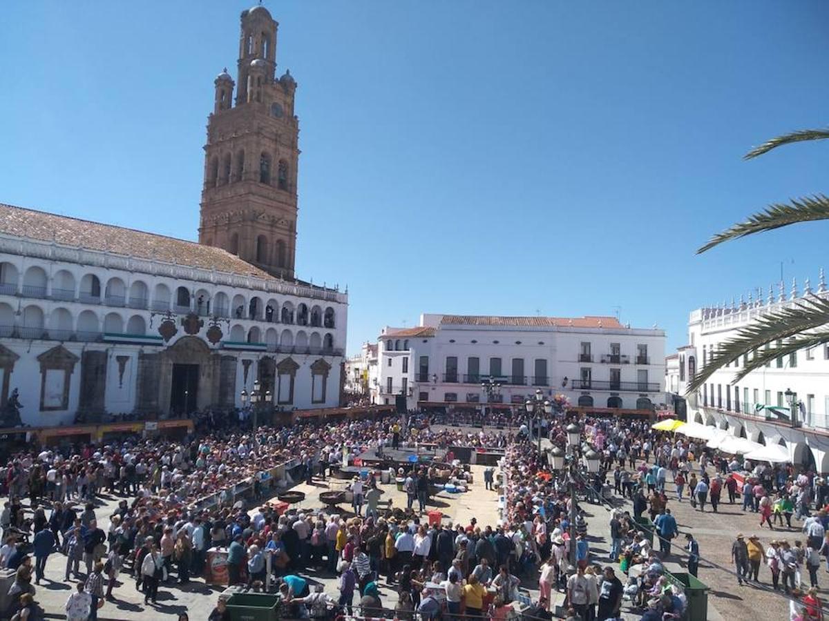 Las fotos de uno de los días más importantes de Llerena: Su Matanza Tradicional Extremeña