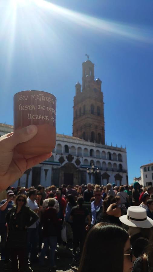 Las fotos de uno de los días más importantes de Llerena: Su Matanza Tradicional Extremeña