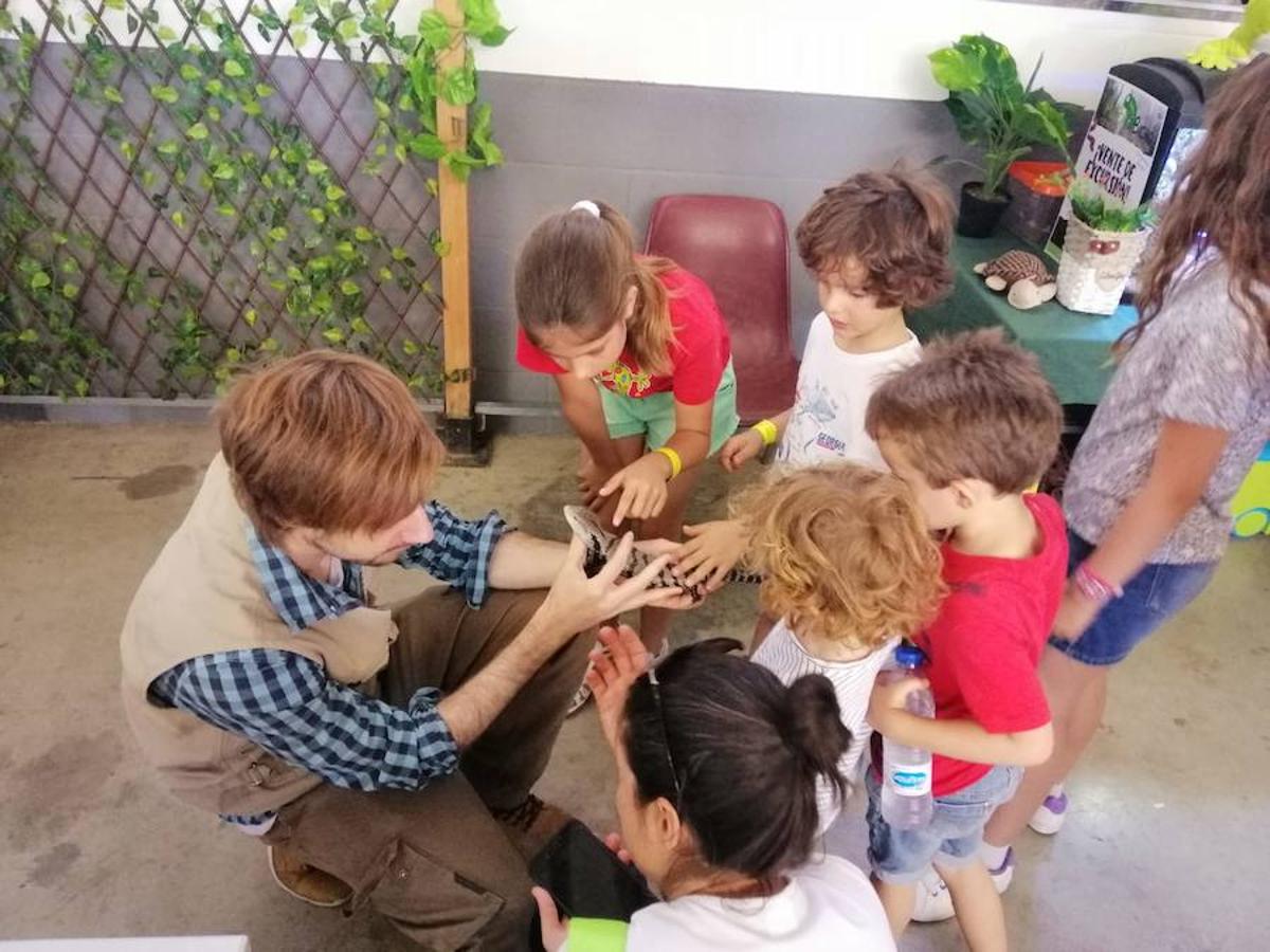 Más de 1200 jóvenes se dan cita en el recinto ferial de Llerena en la IV Edición de Diversur