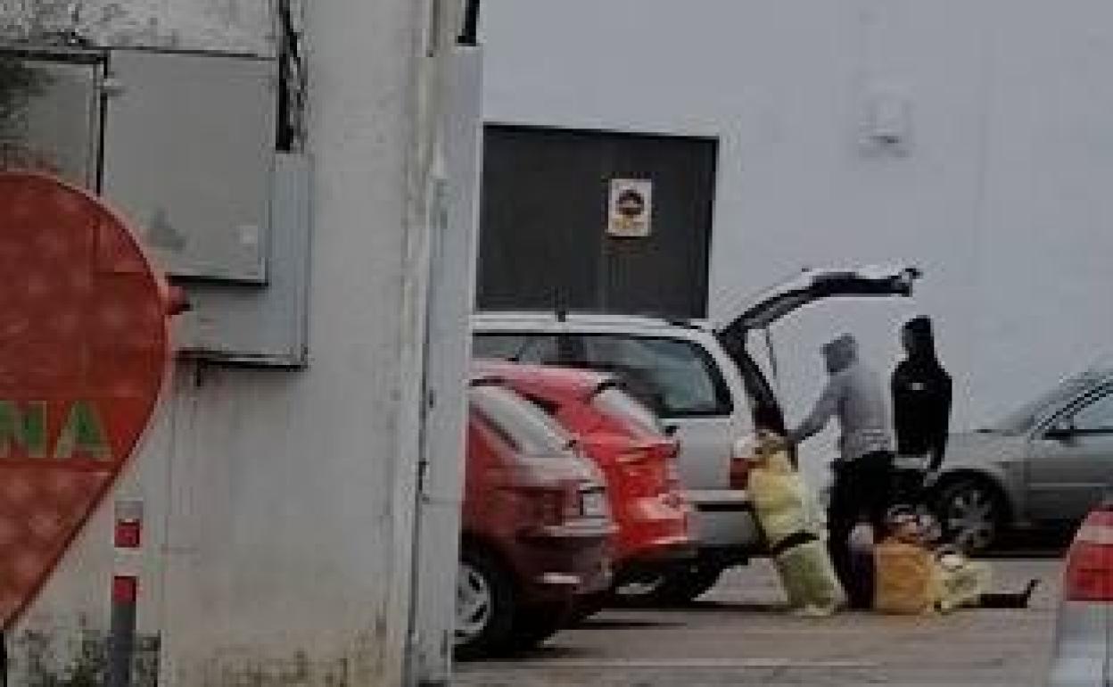 Imagen realizada de los individuos
