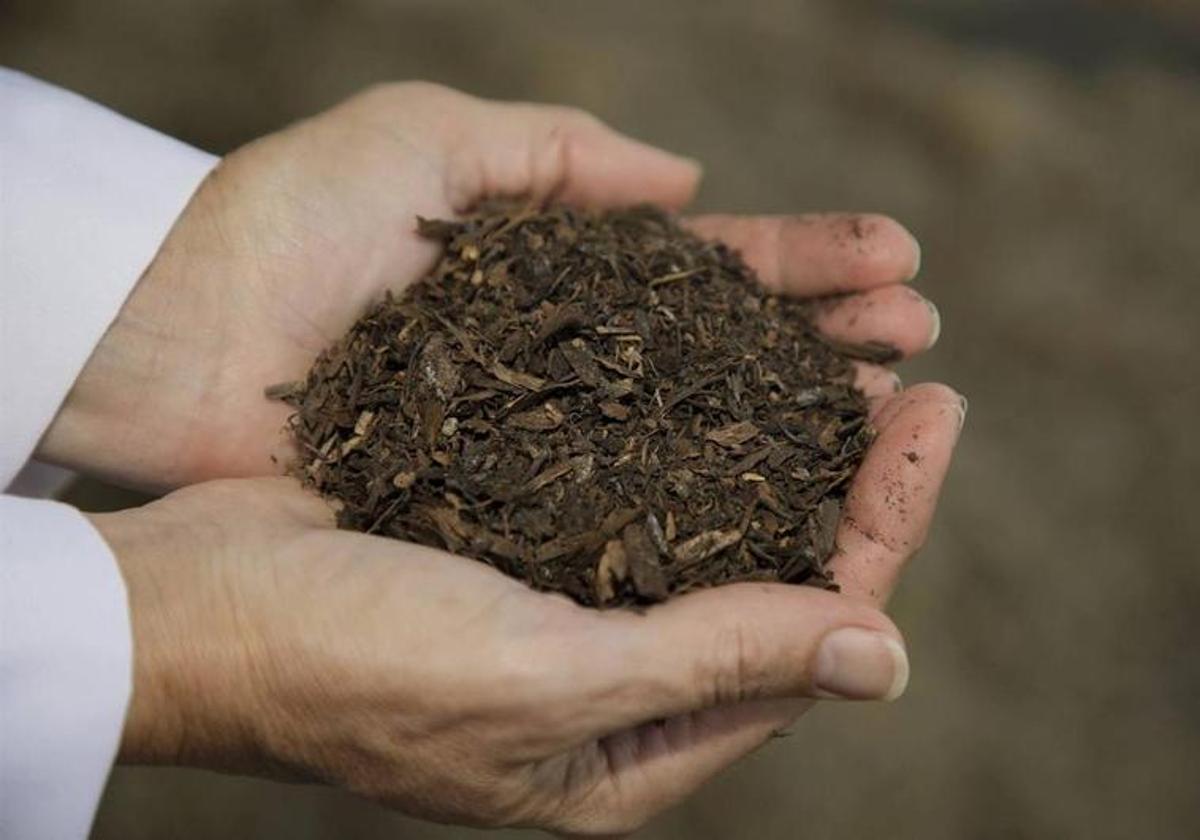Autorizada la construcción de una planta de tratamiento en Llerena para obtener compost