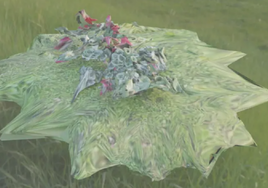 'The Blooming', de Lola Zoido.