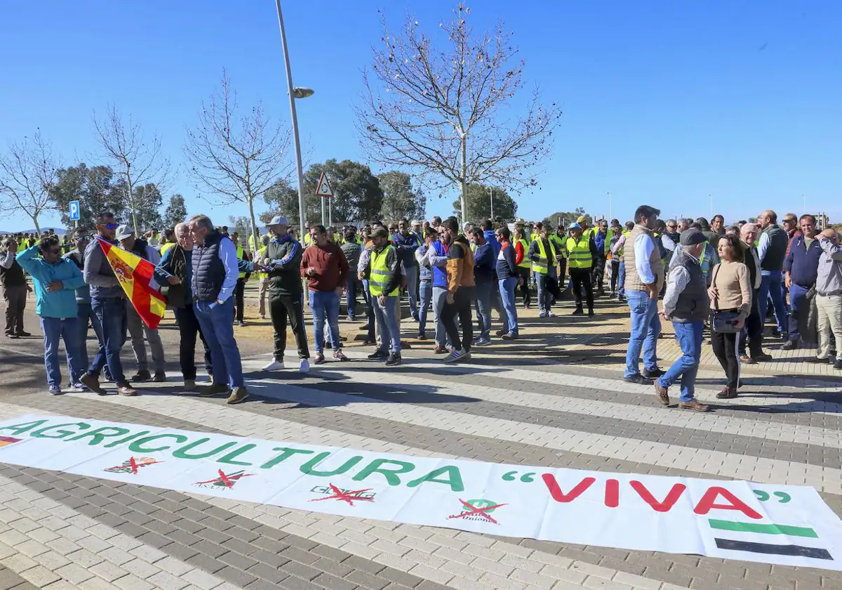 Agricultores frente a la Consejería de Agricultura en Mérida. En el suelo, colocan una pancarta, con los logos de las organizaciones agrarias tachados.