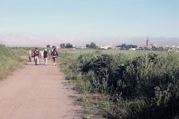 La Ruta Senderista del Rey Jayón volverá a recorrer la Campiña Sur
