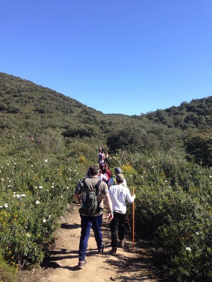 Participantes en la ruta