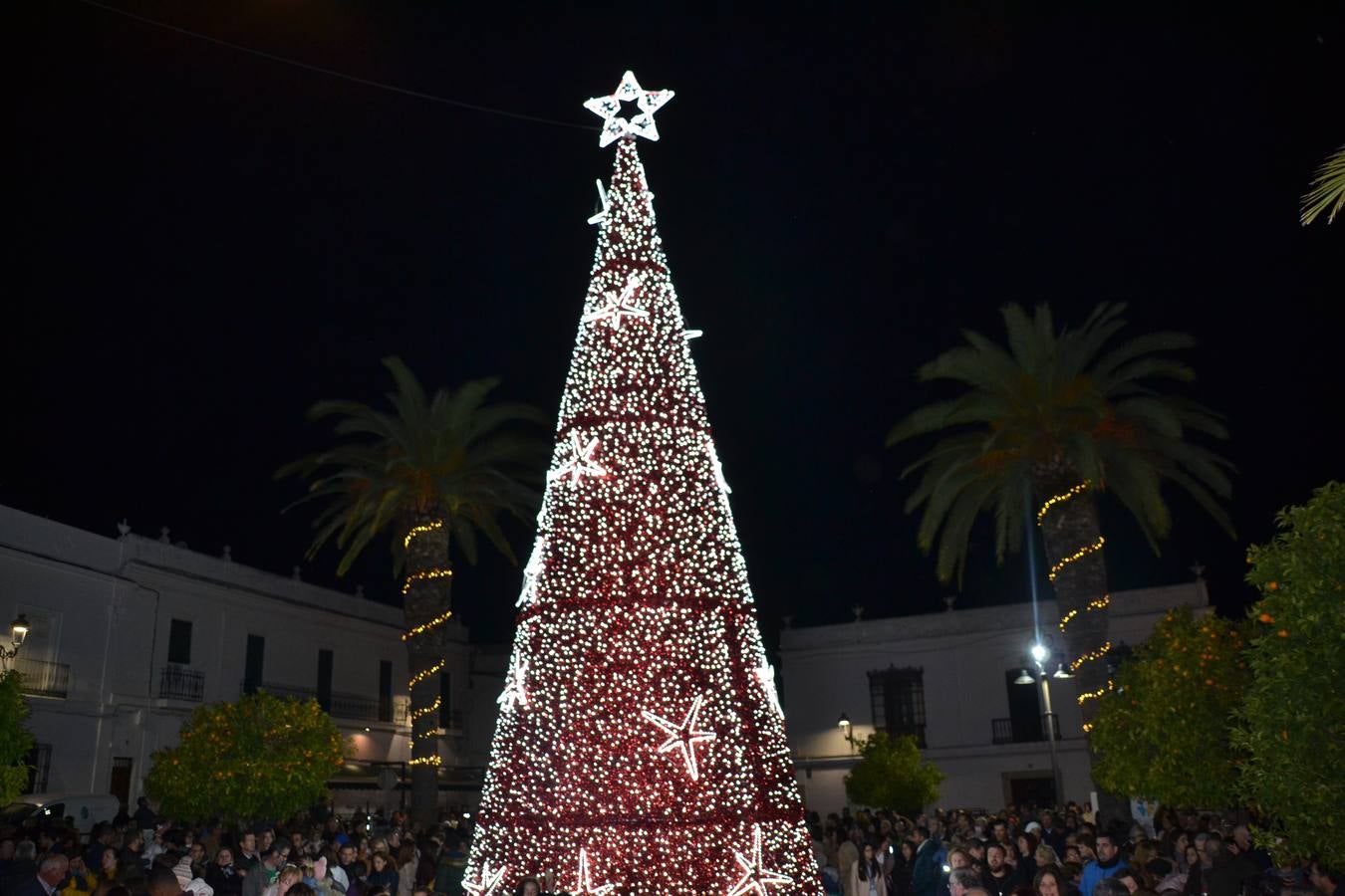 El Árbol bebia tapar a la farola 