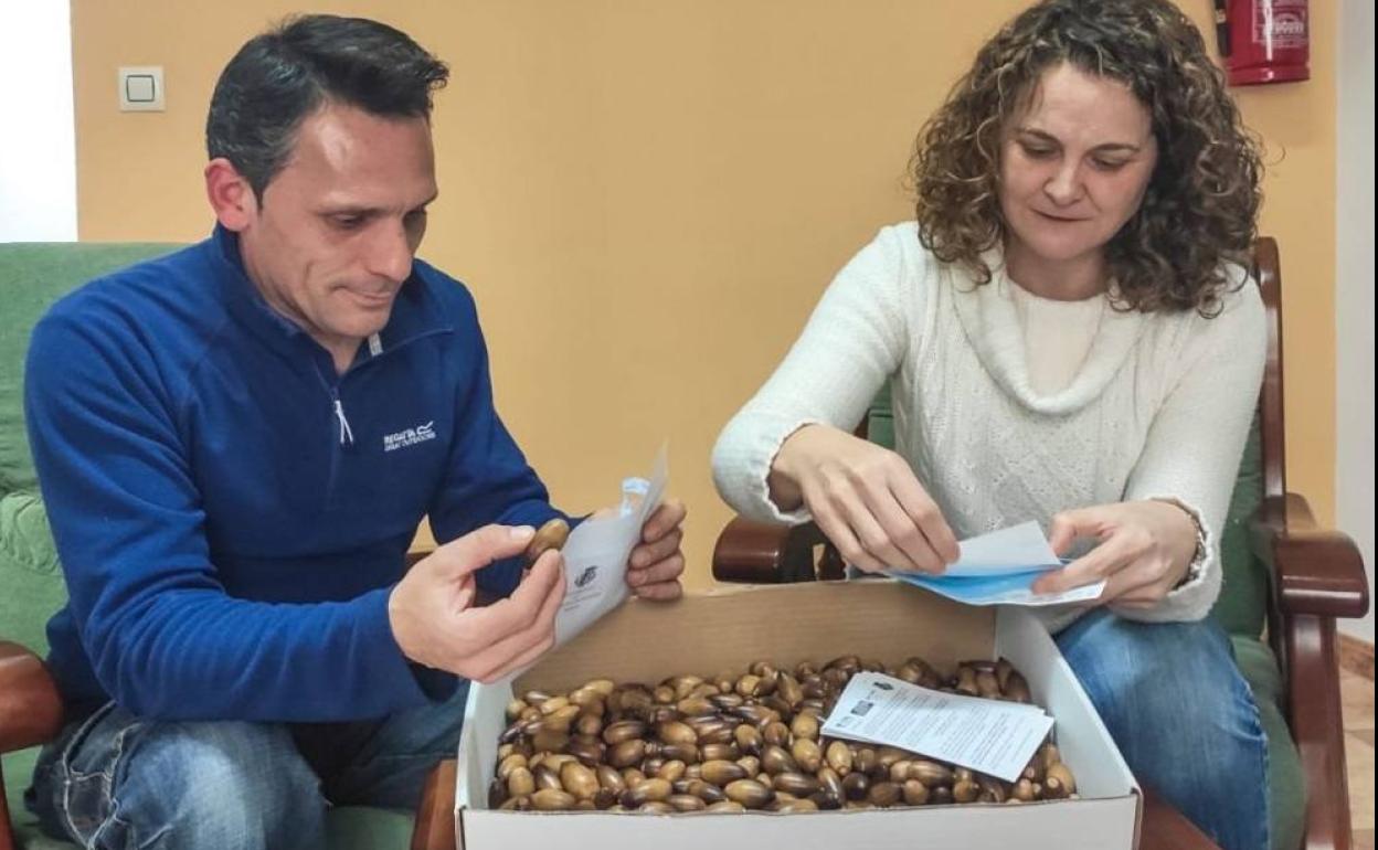 Técnicos de la UPS con las bellotas 