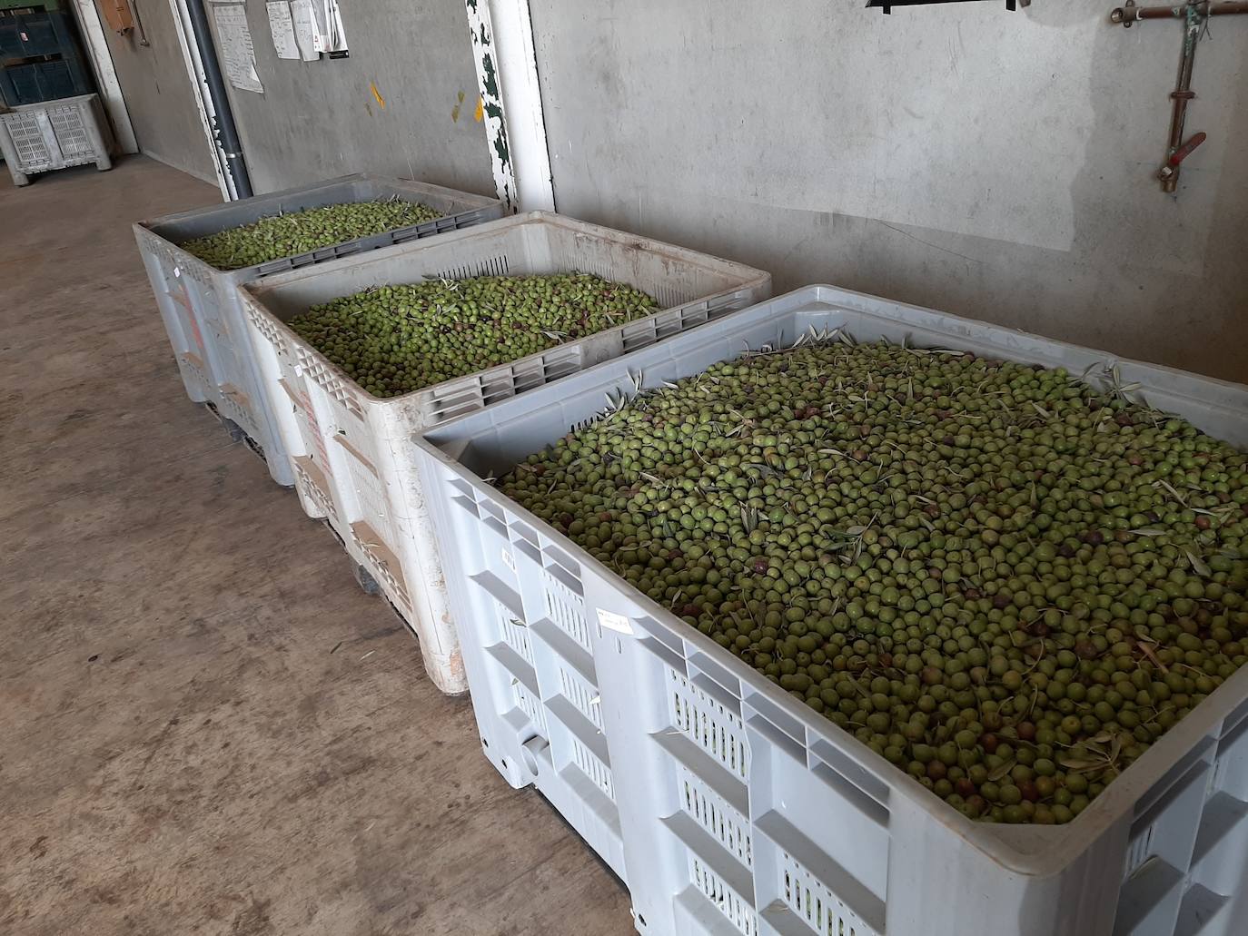 Cajas preparadas para el transporte en un punto de compra 