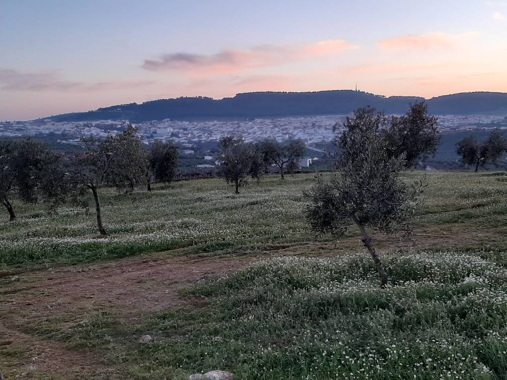 Vista de Los Santos 
