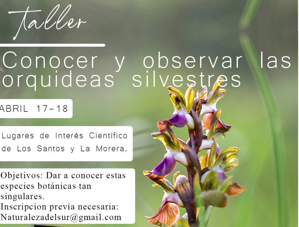 Cartel 