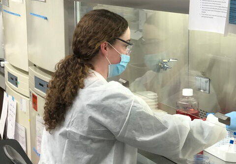 Investigación COVID 