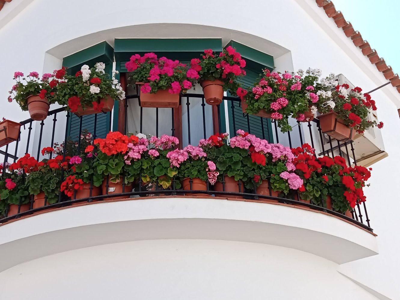 Escasa participación en el concurso de jardines y balcones promovido por el  Ayuntamiento 