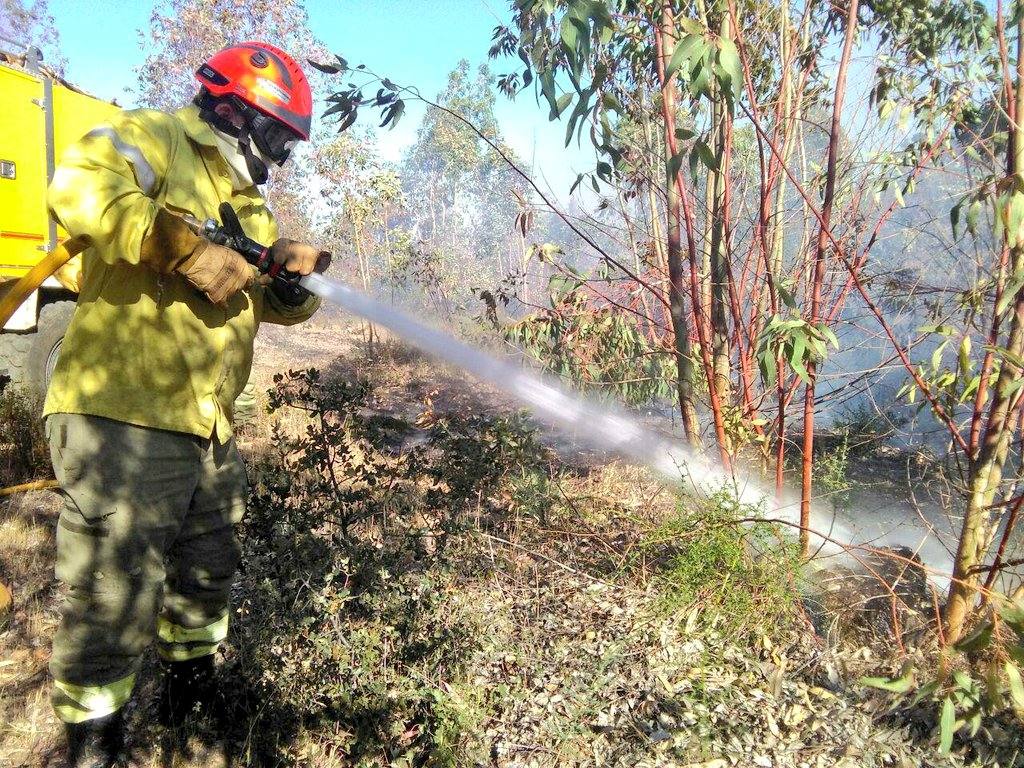 Apagando un incendio en el monte 