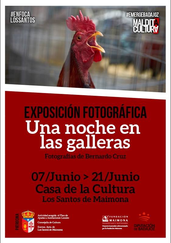 Cartel 'Una noche en las galleras' 