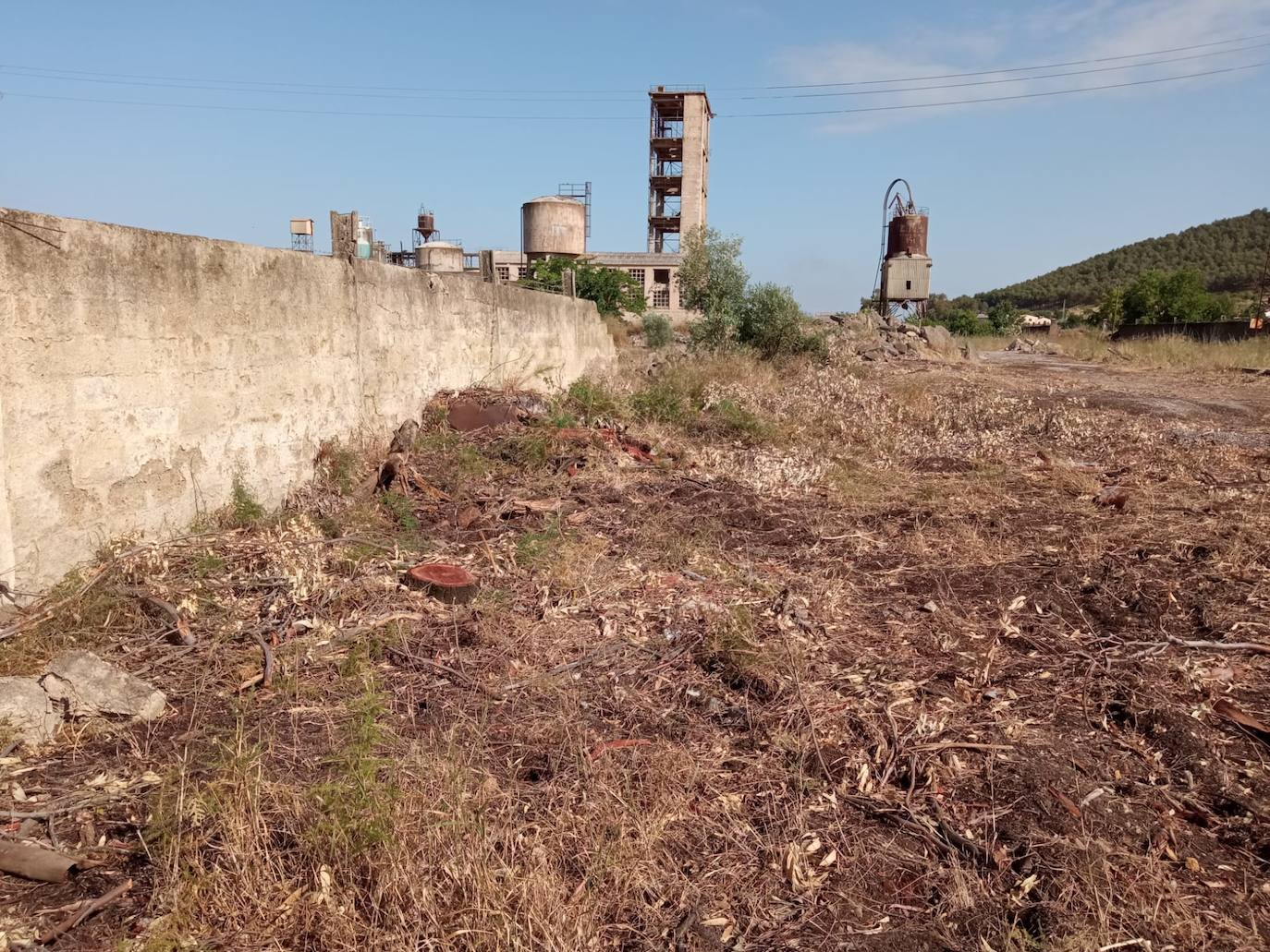 Zona de la Tala en la antigua cementera 