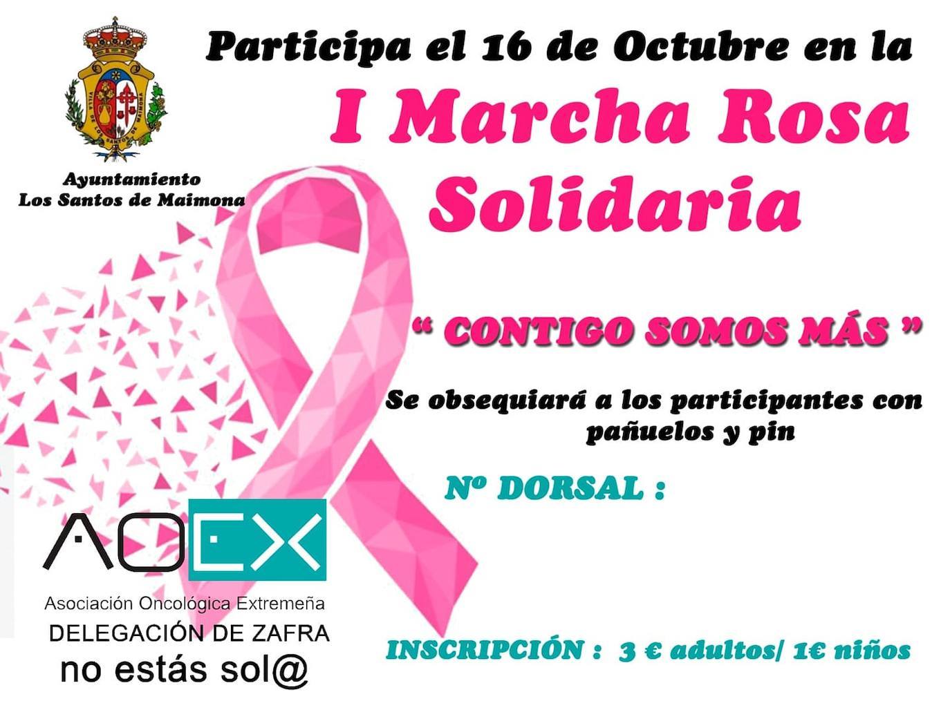 Cartel de la I Marcha Rosa Solidaria 
