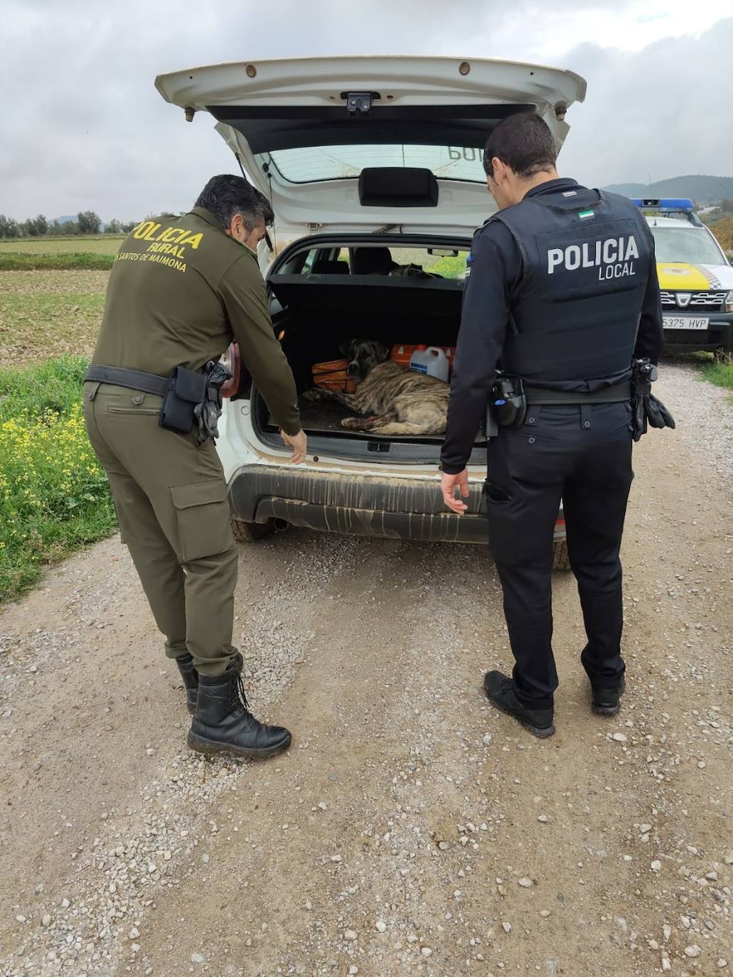 Los policías metieron a la perra en el coche 