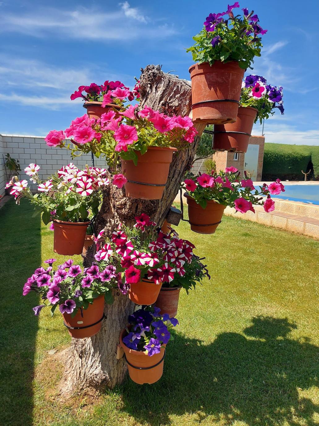 Segundo premio del Concurso de Ornamentación Floral de la primavera 2022 