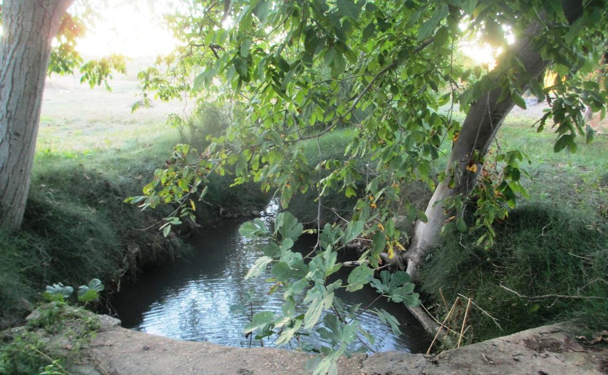 Un arroyo de la cuenca de la Ribera 