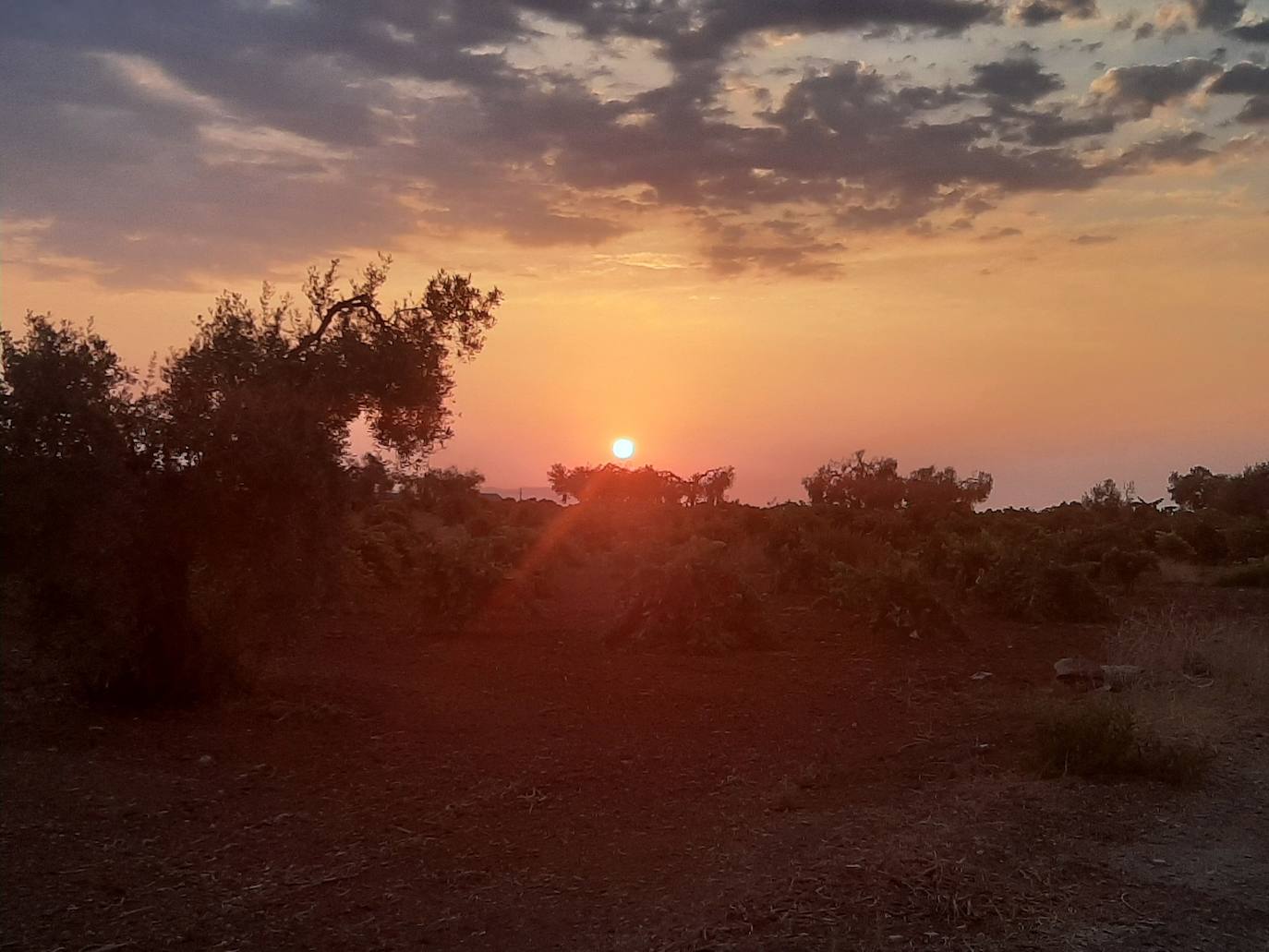 El sol, ayer domingo al atardecer 