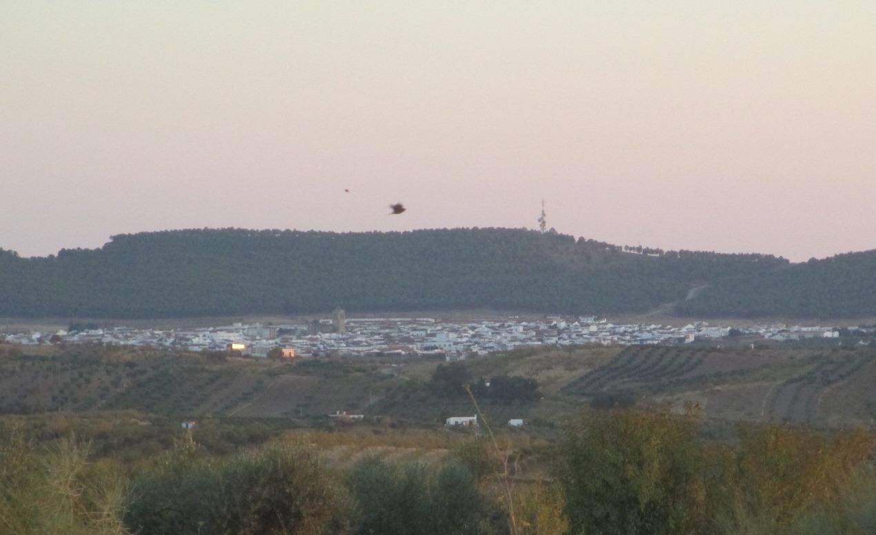 Al fondo la Sierra de los pinos de Los Santos 