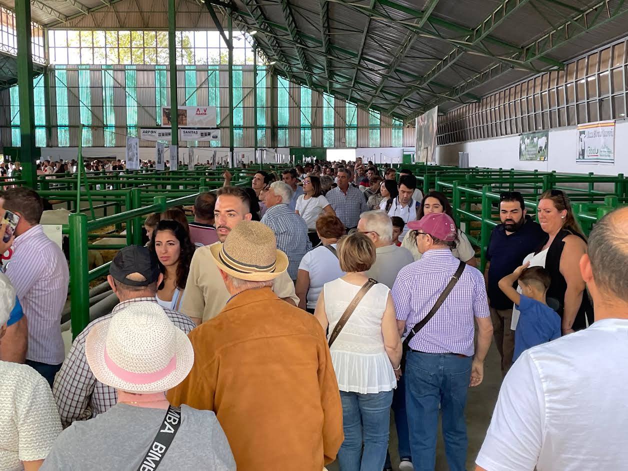 Personas visitando la Feria de Zafra 