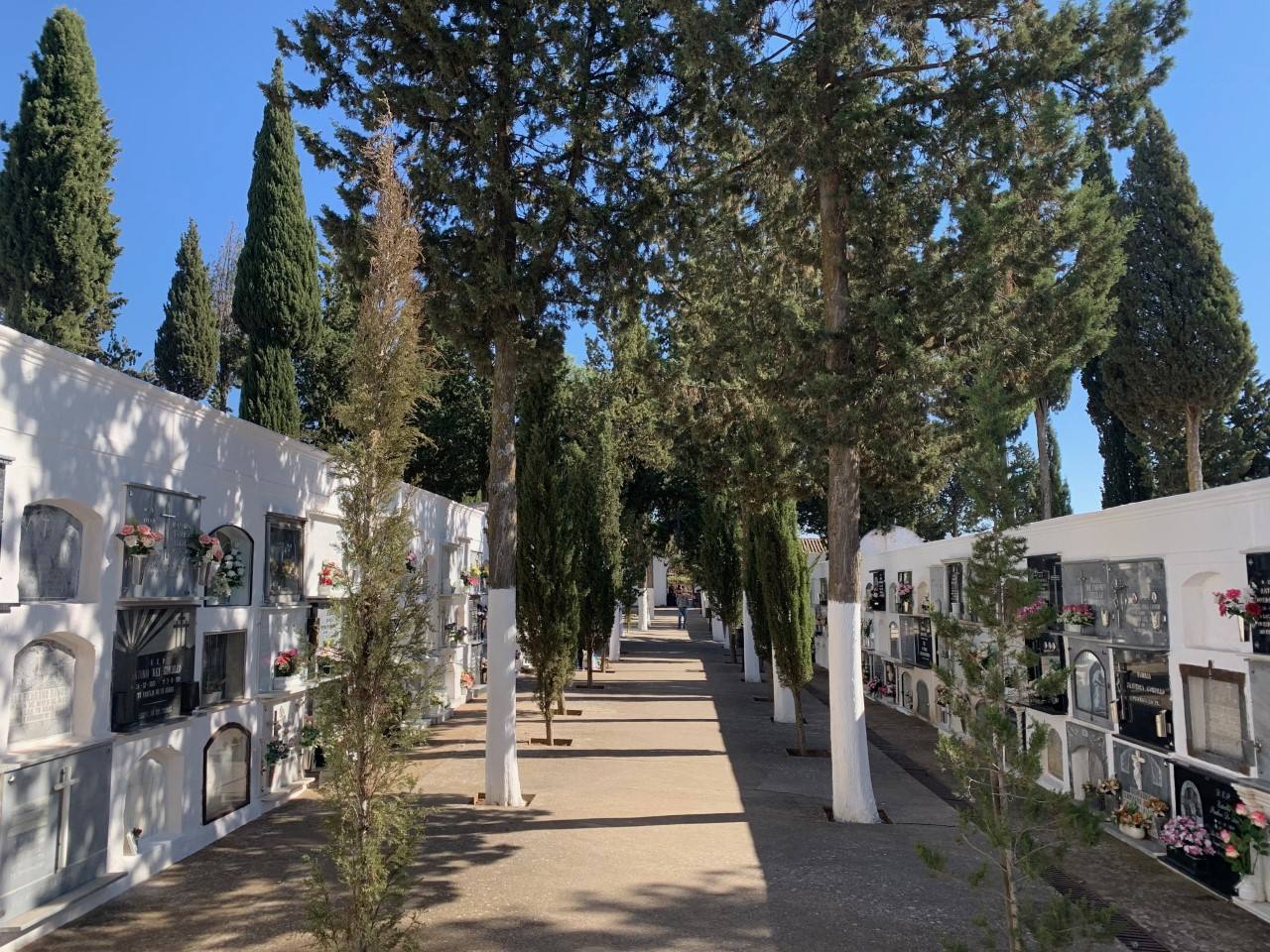 Cementerio municipal de Los santos de Maimona 