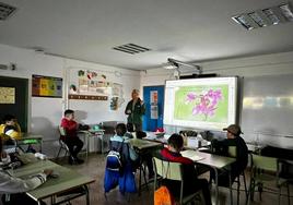 II Jornadas de las Orqídeas, en las aulas