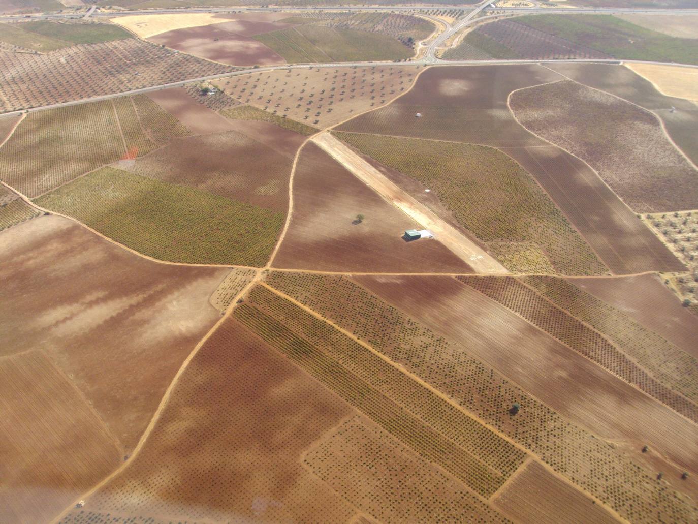 Una raya ancha entre viñas y olivares, conforma la pista del aeródromo Virgen de la Estrella