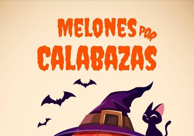 Cartel de la actividad