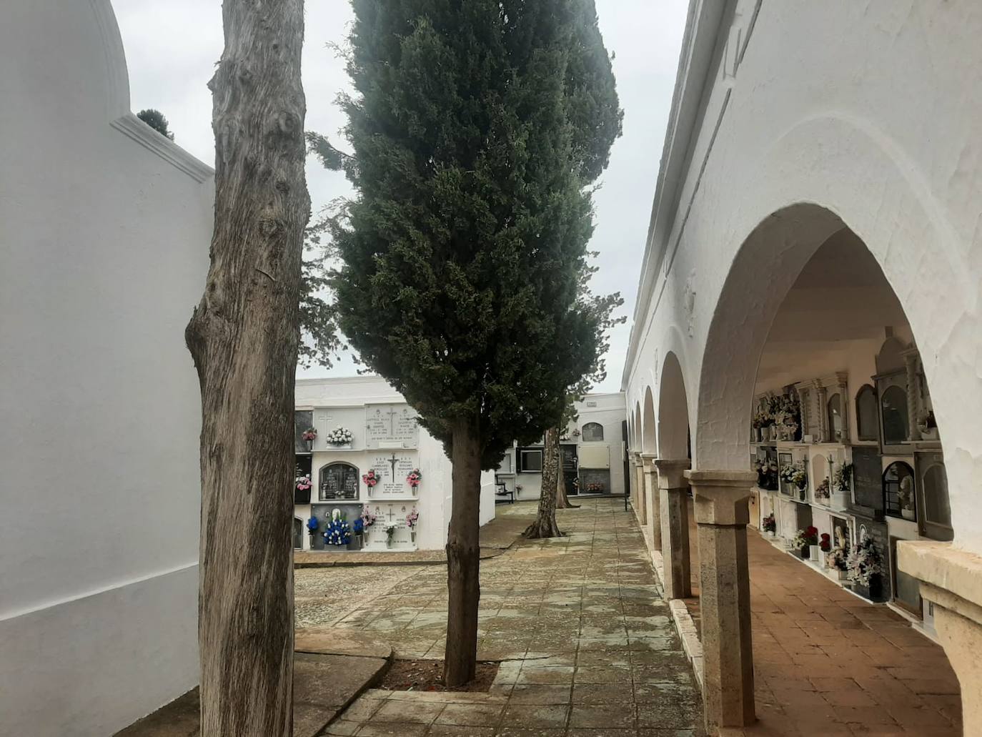 Arcadas de las galerias