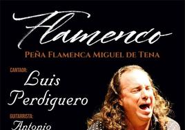 Cartel del espectáculo de flamenco