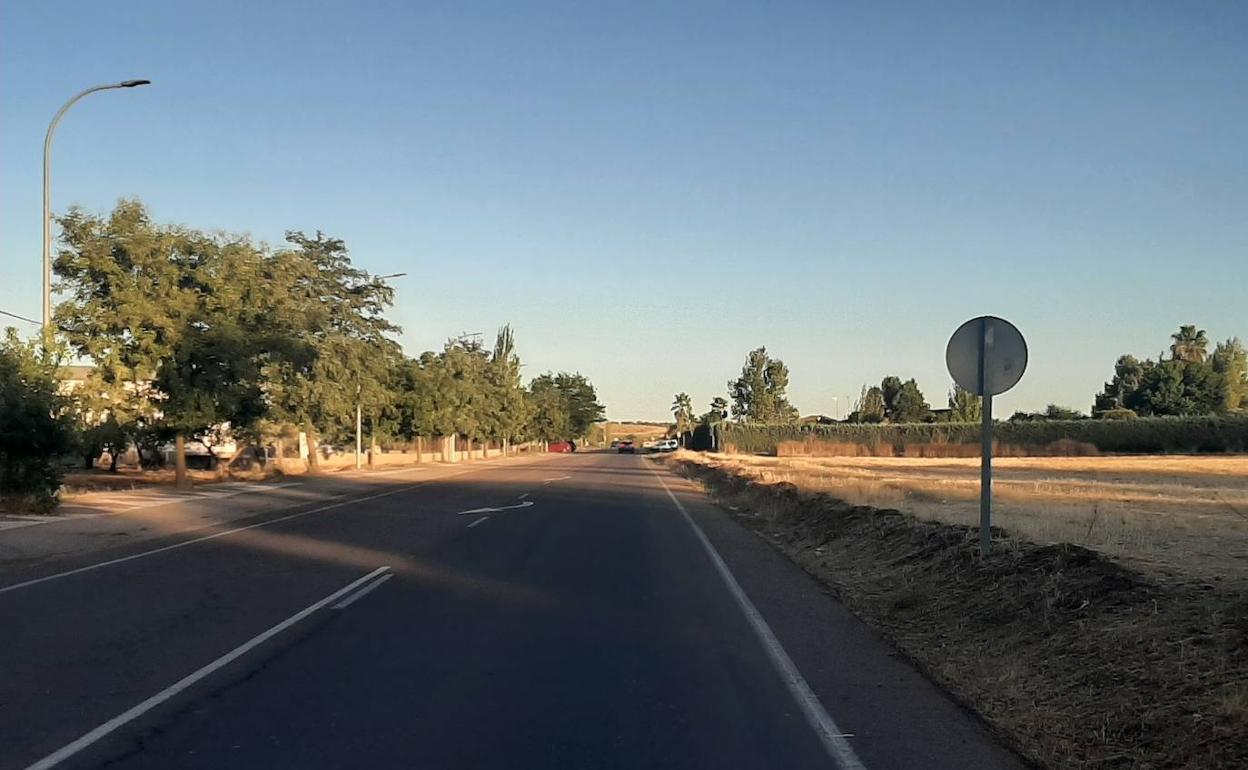 El doble carril peatón -bici discurrirá pegado a la carretera 