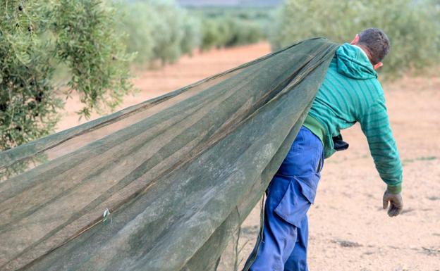 Con la red a cuestas 