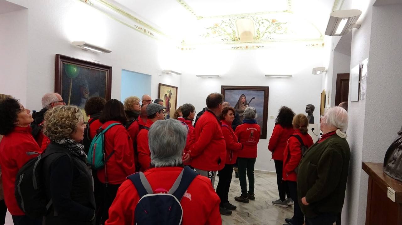 Visita guiada al Museo 