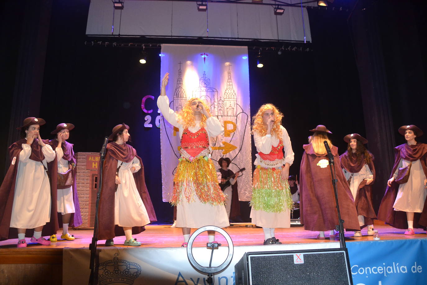 Peregrinos en Santiago y más