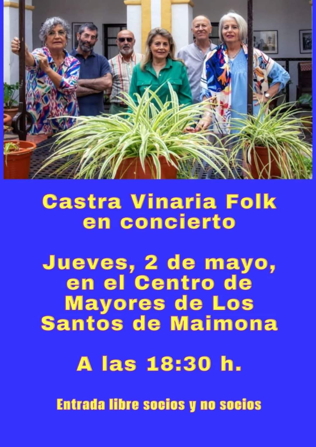 Cartel anunciador del concierto