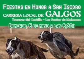 Cartel anunciador de la carrera