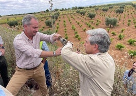 Consejero y Presidente de la Federación con un conejo sacado por hurones