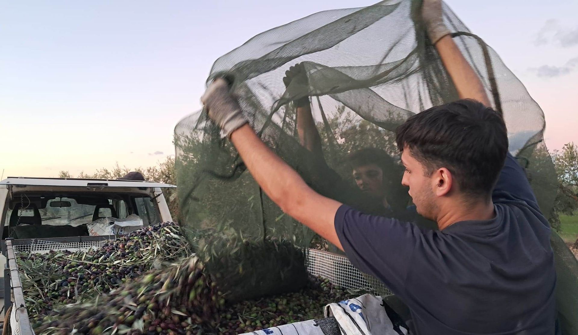 La utilización de las redes es fundamental para una buena recogida