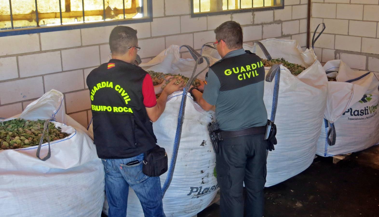 La Guardia Civil desmantela un grupo que se dedicaba a la sustración de almendras en el campo