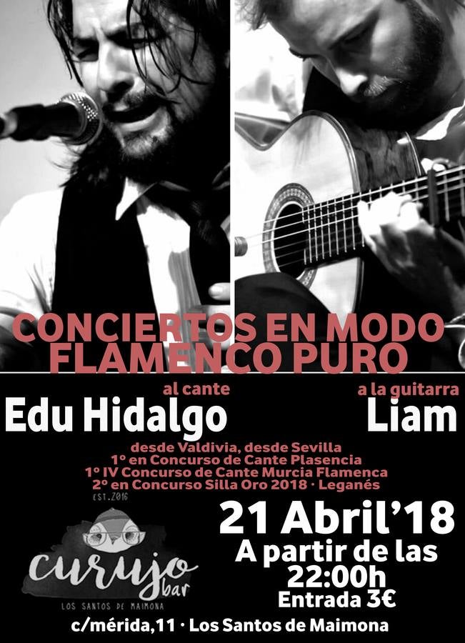 Este sábado gran concierto flamenco de Edu Hidalgo en  Curujo Bar