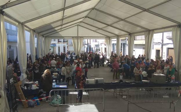 Gran actividad y concentración durante la elaboración de los platos 